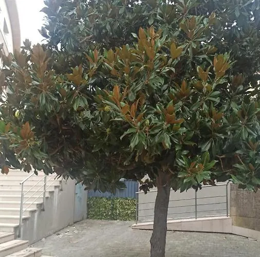 Apartament Rosselli93 *